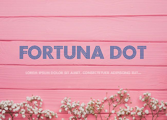 Fortuna Dot example